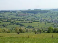 Hotel Tannenhof Hotels in Laubach