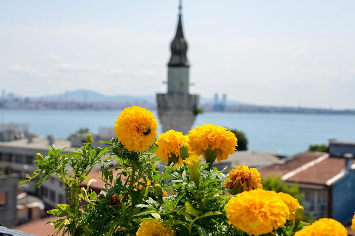 Ottomarin Hotel Old City