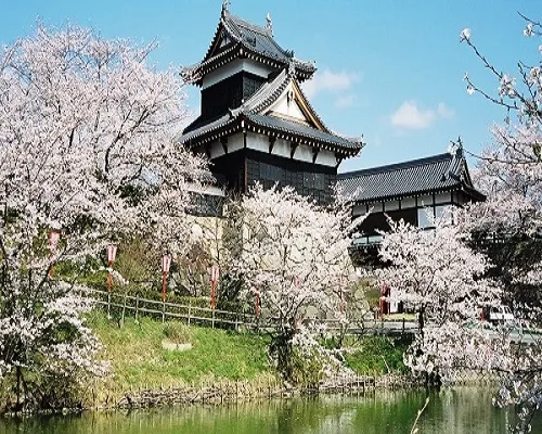 Wan Wan Paradise Nara Ikoma (Old:KAMENOI HOTEL YAMATO HEGURI) In der Nähe des Hotels Photos
