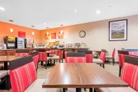 Comfort Suites Rochester Henrietta University Area - breakfast