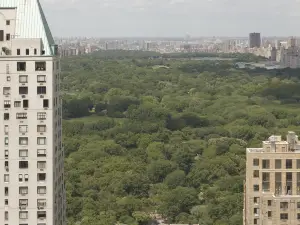 Thompson Central Park New York by Hyatt