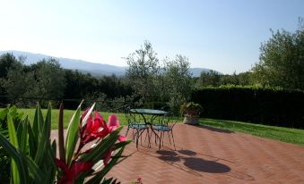 Agriturismo Antico Borgo Poggitazzi