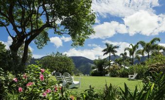 a lush green lawn with a bench and chairs placed in the middle , surrounded by trees at Strawberry Hill