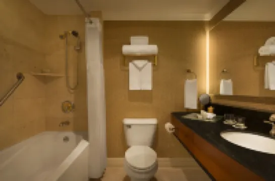 勒蘇蕾行政酒店