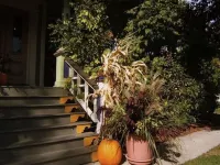 Boyden House Inn B&B Hotels in Spring Lake