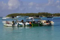 Pingouinvillas فنادق في Pointe d'Esny