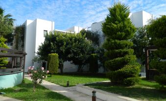 Yelken Mandalinci Spa&Wellness Hotel