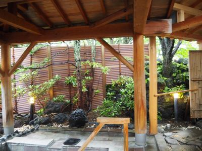 庭 草津温泉望雲の写真