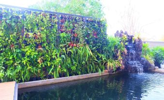 a lush green wall of plants in a garden setting , with a pond and waterfall nearby at The Pride