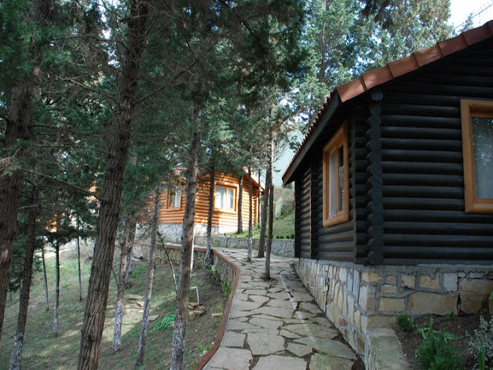 Ağva Orman Evleri Forest Lodge (Agva Orman Evleri Forest Lodge)