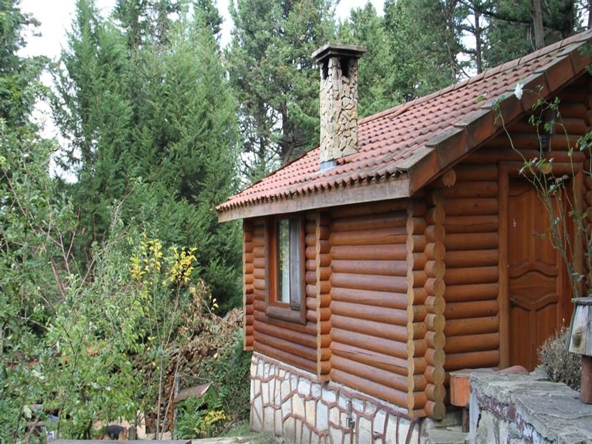 Ağva Orman Evleri Forest Lodge (Agva Orman Evleri Forest Lodge)