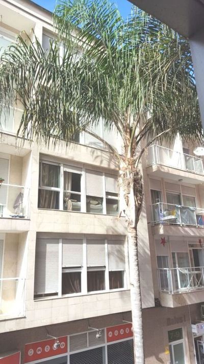 Hotel Exterior White Rose Photo