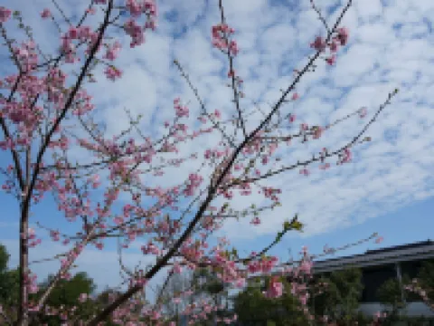 ซานยี่ แฮปปิเนส เบด แอนด์ เบรคฟาสต์ โรงแรมในเหมียวหลี่