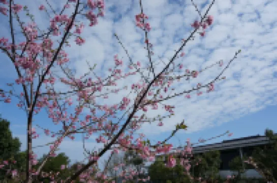 Sanyi Happiness Bed and Breakfasts