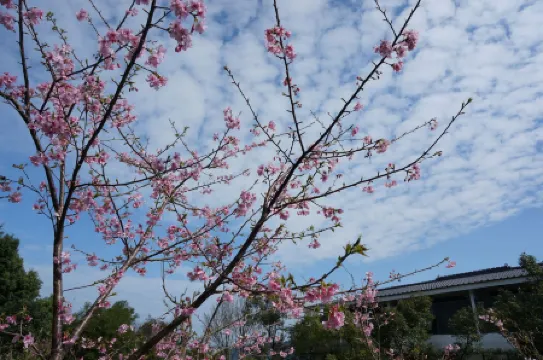 Sanyi Happiness Bed and Breakfasts