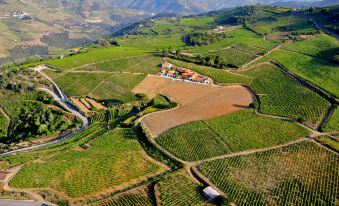 Quinta Dos Espinheiros