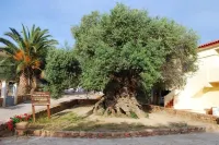 Xristinas Seaside Apartments Hotels in Kolimvari