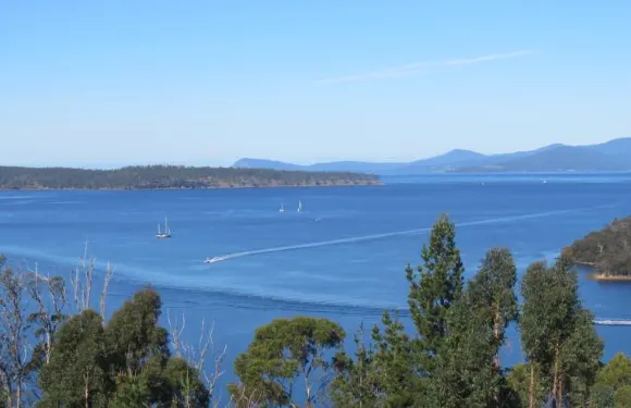 布魯尼維斯塔木屋
