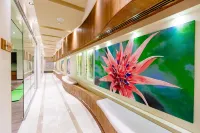 Grand Pasha Lefkosa Hotel & Casino & Spa - spa