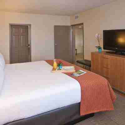 Holiday Inn Express San Francisco Airport South, an IHG Hotel Rooms