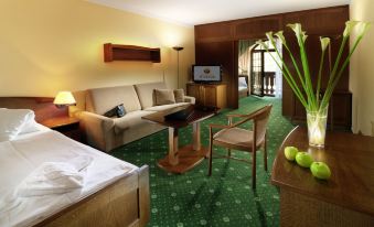 Wellness Hotel Windsor - Housity