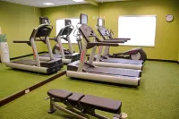 Fairfield Inn & Suites Holiday Tarpon Springs - salle de sport