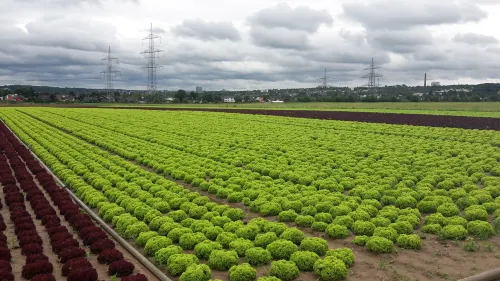 Hotel Gasthaus Zur Krone Hotels in Widdig