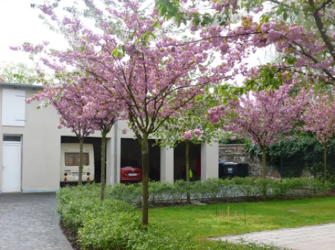 Hotel Mit-Mensch Отели рядом с достопримечательностью «Парк ам Штихканаль»