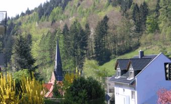 Apartmenthaus "Zum Lowen" Heidelberg - Ziegelhausen