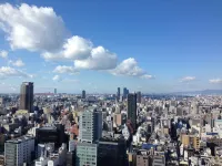 大阪日航酒店 - 浪漫/情侶
