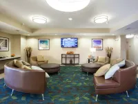 Candlewood Suites NEW BRAUNFELS by IHG Hotels in Comal County