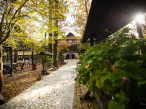 Hotel Cornul Vanatorului Hotels in Pitesti