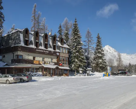 Penzión Pleso Hotels in Strbske Pleso