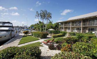 Cove Inn on Naples Bay