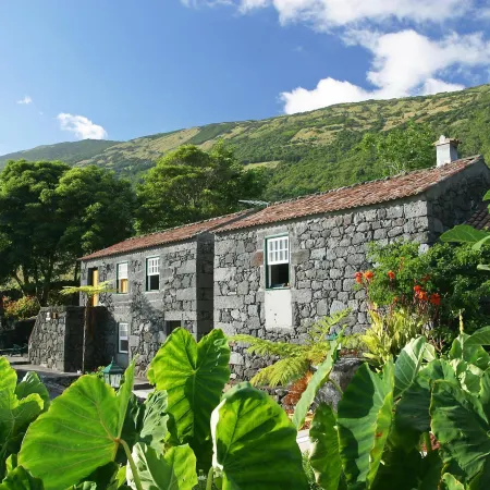 Adegas do Pico