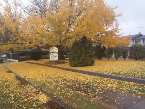 Cambrian Lodge Motel