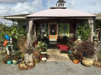 Shamrock Cove Inn Hotels near Blue Spring