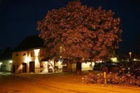Restaurant-Hotel Maien Hotels in Weil am Rhein