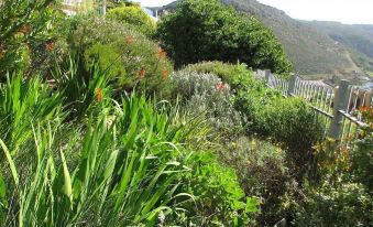 Albatross Guest House