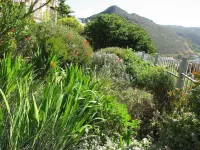 Albatross Guest House