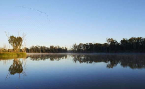 Discovery Parks - Blackwater