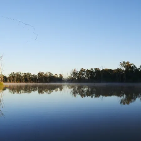Discovery Parks - Blackwater