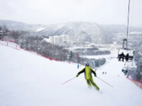 โมนา ยงเพียง โรงแรมในพย็องชัง