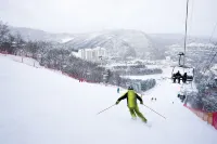 Mona Yongpyong