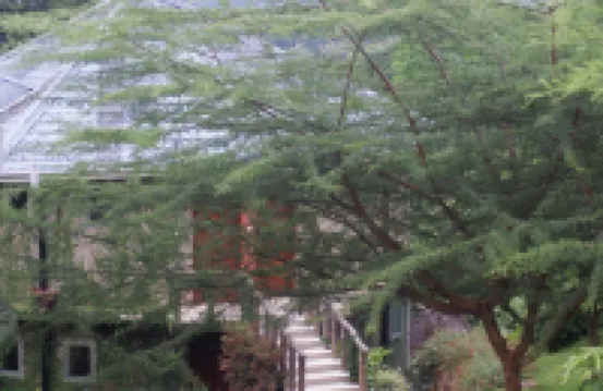 Udzungwa Falls Lodge Hotels in 