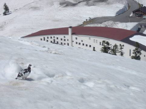 Kokuminshukusha Tateyamaso Room Reviews Photos Tateyama 2021 Deals Price Trip Com