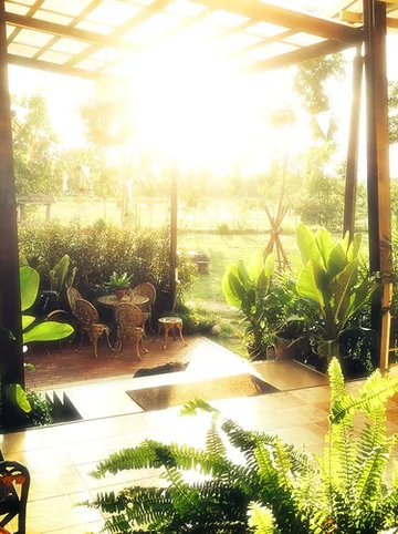 รูปภาพของสวนทอฝัน