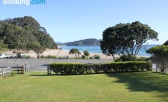 Hot Water Beach Cottage