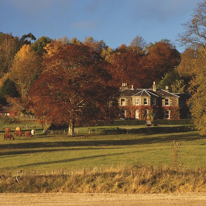 金洛克之家酒店