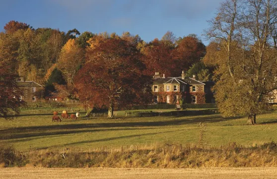金洛克之家酒店